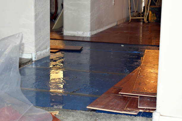 Professional Water Damage technician working in Bloomington, IL